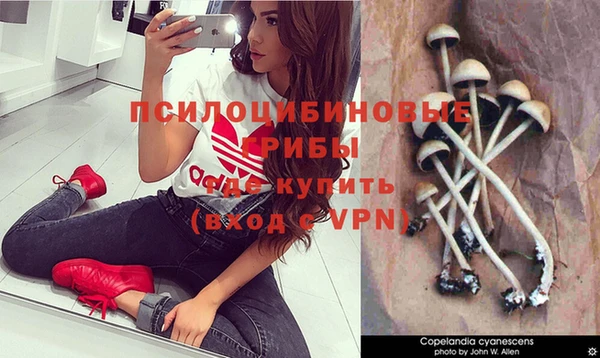 ПСИЛОЦИБИНОВЫЕ ГРИБЫ Беломорск