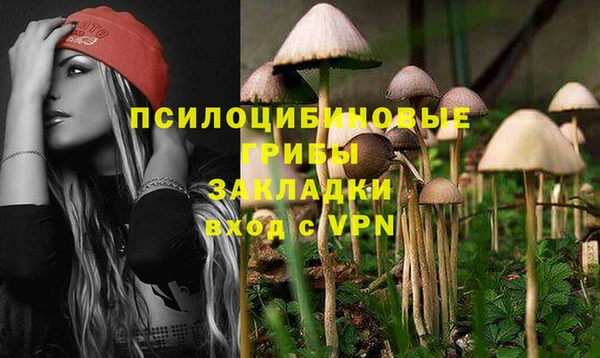 ПСИЛОЦИБИНОВЫЕ ГРИБЫ Беломорск