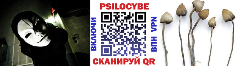 где найти наркотики  Демидов  дарк нет клад  Галлюциногенные грибы прущие грибы 